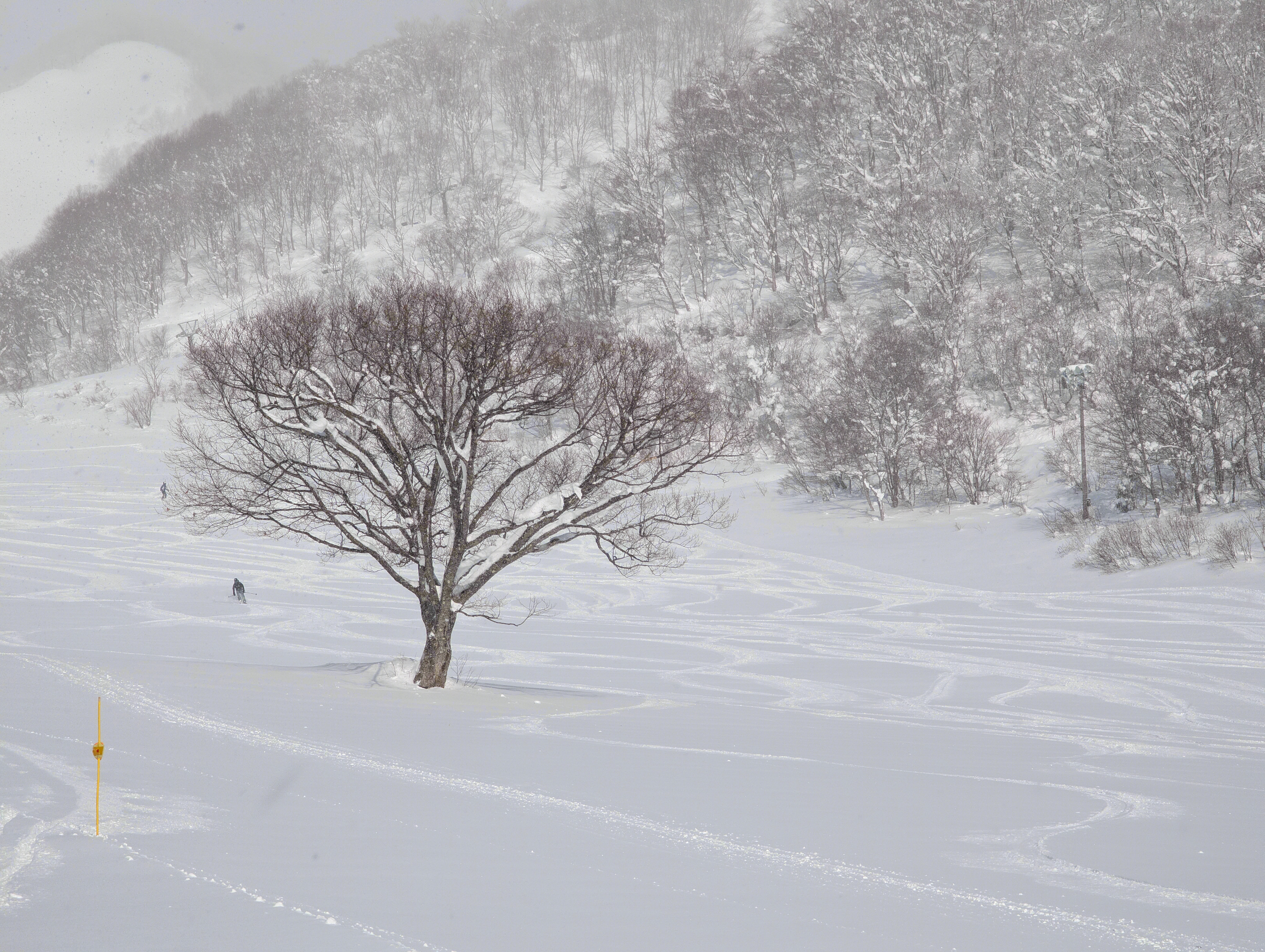 Hakuba